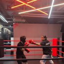 카운터복싱 동탄 목동 이미지