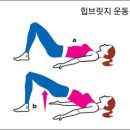 브릿지 이미지
