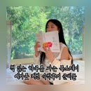 서귀포 숙소 에카톳 캐빈 책 읽는 하루를 파는 북스테이 후기