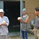 유락농장 이미지