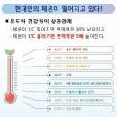 로틸리아 이미지