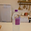 동해시-49 | 비와도 좋은 동해 독채 팬션 &#39;다온스테이&#39; 갈대동 후기/ 동해 태교여행, 동해가족독채팬션, 커플...