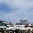 양춘만 | 양평 가볼만한곳 두물머리 두물머리연핫도그 연잎 아이스크림 솔직후기