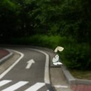 부천시어린이교통나라 이미지