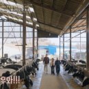 장훈목장 이미지