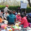 마산면사무소 앞 이미지