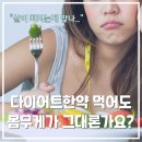 조직의 군살을 빼드립니다: 워크 다이어트 | [서울 마천동 한약다이어트 한의원] "살 빠지고 있는게 맞나요?" 체중감량 비법 다이어트환 한약 알약의...