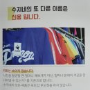 수지네옷