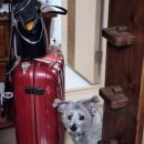 그랜드센트럴북카페 | 비가 와도 즐거웠던 상하이 여행기 시작" (그랜드 센트럴 상하이 호텔 / 난징동루 / 헌저우이치엔 양꼬치)