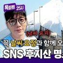 9월2일 톡파원 25시 날씨 좋은 날엔 웨이팅 필수 후지산 인증샷 명당 '꿈의 대교' 영상 이미지