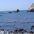 제주 비양도 호니토 이미지