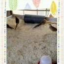 금계모텔 이미지