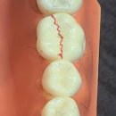 신플란트치과의원 이미지