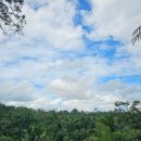 우붓 피치븐 발리 스윙 꿀팁 및 Picheaven Bali Swing 스마디 가이드 후기
