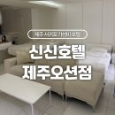 신신호텔 제주오션 | 제주 서귀포 가성비 호텔 내돈내산 숙박 후기 [신신호텔 제주오션]
