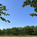 효효그루밍 이미지