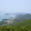 정자리
