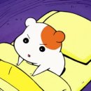 한올한올 눈썹, 속눈썹 주엽점 이미지