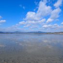 에코아트투어 이미지