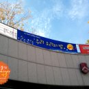 국제문화출력