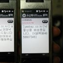 라피뉴 네이버블로그