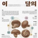 이달신 이미지