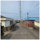 코난민박 이미지