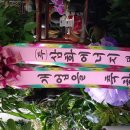진벌 꿀