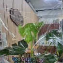 우동119안전센터 이미지