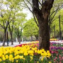 상용축사 이미지