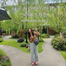 가든세탁 | 치앙마이 올드타운 숙소 스파이스가든 호텔 추천 가성비갑 조식 세탁서비스 수영장없음