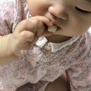 순수한뻥튀기