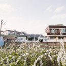 동촌로 이미지