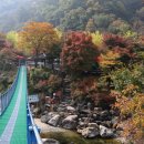 장령산자연휴양림 이미지