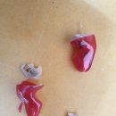 나라보청기상사 이미지