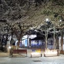 율하근린공원 이미지