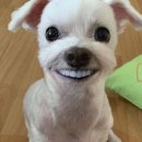 호텔159 이미지