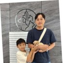 광주 강아지분양 고양이분양 어반펫 광주본점 이미지