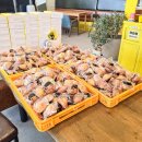 고흥만남의광장휴게소 이미지