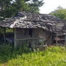 엑스라이프 네이버블로그