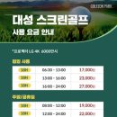 대성 골프 이미지