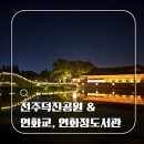 대박 PC | [전주 야경 명소] 밤이 되면 로맨틱하게 변하는 전주 덕진공원 야경 코스 추천