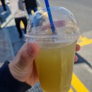 크라우드PC 동해이도점 | [경기 시흥/가볼만한 곳] 말로만 듣던 그 곳, 오이도를 가다, 오이도 산책로 리뷰!