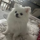 4월기록(근데이제 희미해져가는 기억을 붙잡고,,,,)