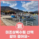 미조상록수림 네이버블로그