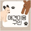 날다펫 | 애견미용구인, 도루스와 펫잡스에서 빠른 취직을