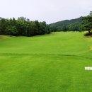 이포골프장 이미지
