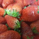 윤경농장 이미지