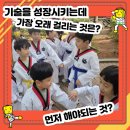 화창태권도장 이미지
