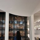 대영서적 이미지